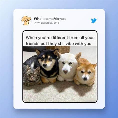 wholesome memes for friends|best friend wholesome memes.